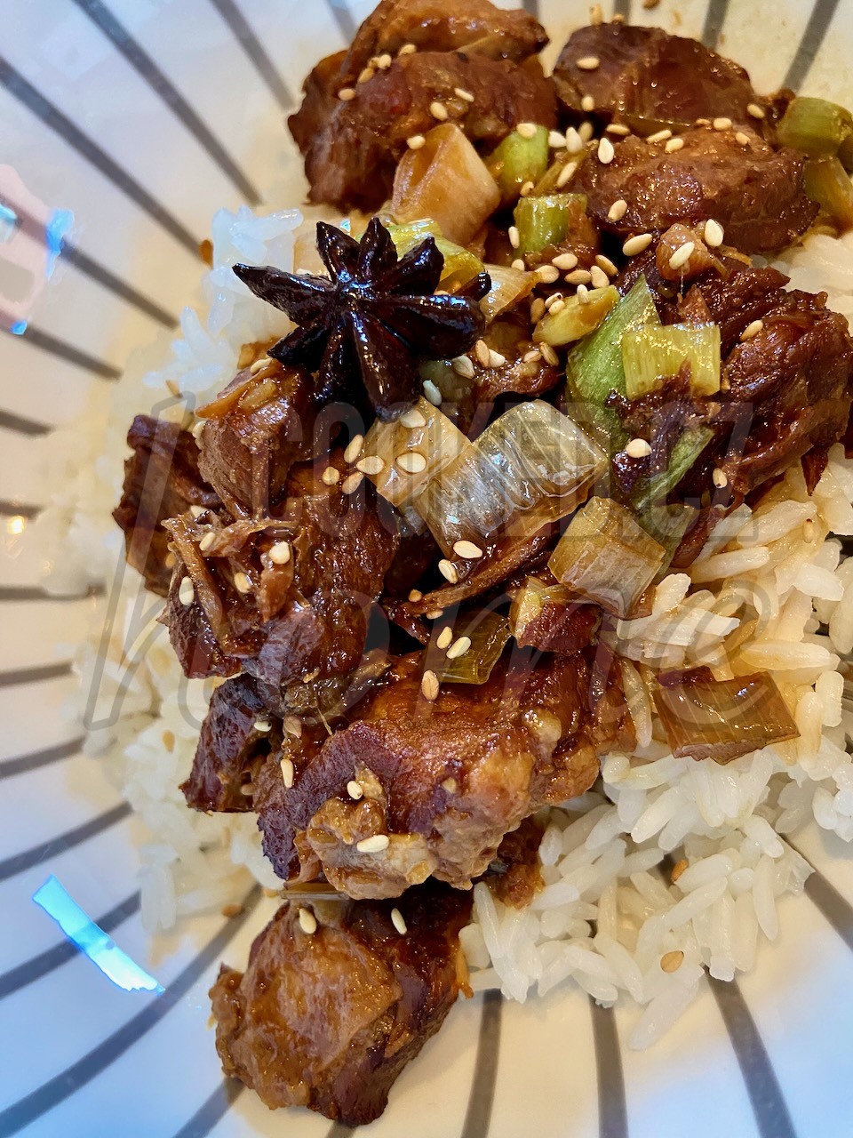 Hong Shao Rou red braised pork